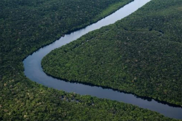 Vista aérea del bosque del Amazonas en el estado de Amazonas en Brasil, el 10 de junio de 2022 (