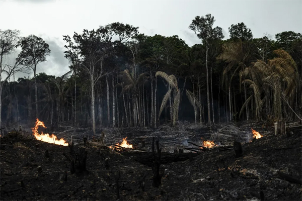 Personas prenden fuego en un área boscosa en Amazonas (Brasil). EFE/Raphael Alves