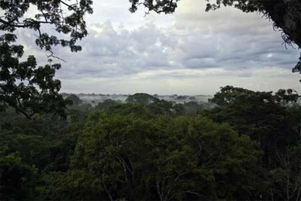 Ecuador, Amazonas (AFP)