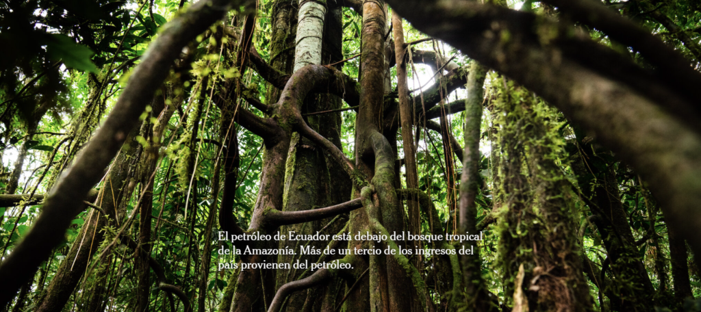 El petróleo de Ecuador está debajo del bosque tropical de la Amazonía. Más de un tercio de los ingresos del país provienen del petróleo.