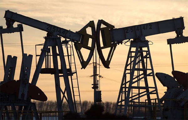 Gatos de bombeo de petróleo 