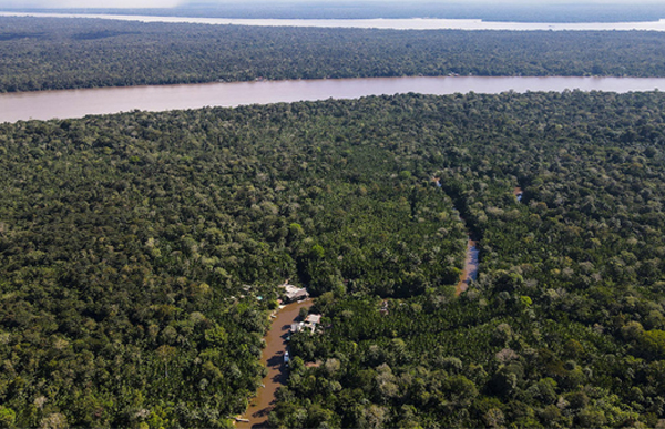 Vista aérea del estado de Pará, considerado el lugar que más destruye./ EFE