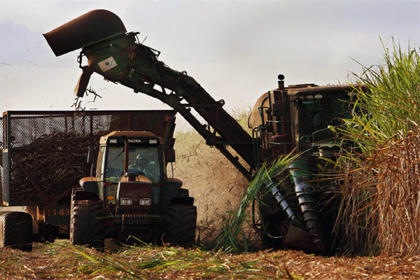 Una cosechadora mecánica trabaja en una plantación de caña de azúcar en Sertaozinho, Brasil, el 6 de junio de 2008 