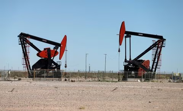 Jacks de bombeo de petróleo se ven en el depósito de petróleo y gas de esquisto de Vaca Muerta en la provincia patagónica de Neuquén, Argentina, 21 de enero de 2019.  