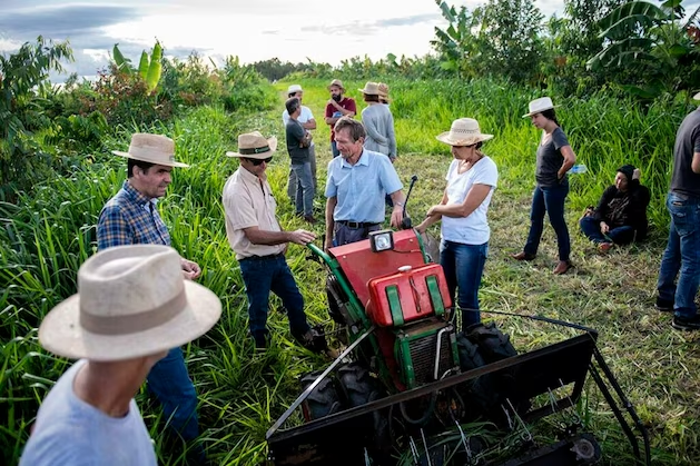 Ernst Götsch y los grandes agricultores.
amazonian-future.