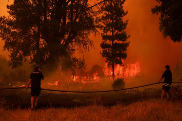 Los incendios en el centro de Chile han causado la muerte de al menos 51 personas, con 1.600 refugiadas en albergues, según los últimos datos del Gobierno