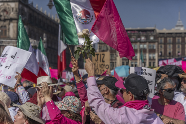 A demonstrator holds a flowers during a protest against proposed electoral changes at Zocalo Square in Mexico City, Mexico, on Feb. 26 