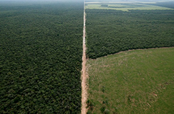 An aerial view shows forested/deforested area, near Las Lomitas, in Formosa, Argentina April 18, 2023.  
