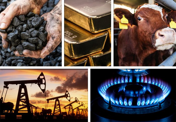 Coal and natural gas have seen some of the biggest price declines in the commodities sector so far this year, while cattle prices have rallied.