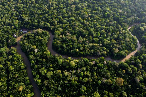 Brazil is the sixth-largest greenhouse-gas emitter and home to about 60% of the Amazon forest.