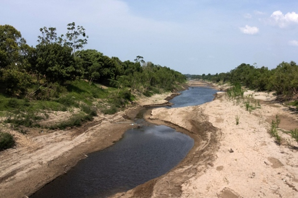 A drought-hit branch of the Amazon River in Manaus, Brazil, on Oct. 4. (Bruno Zanardo/Getty) 