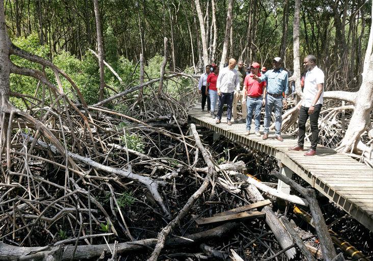 SURVEYING DAMAGE: Tobago House of Assembly Chief Secretary Farley Augustine, right, leads Prime Minister Dr Keith Rowley, Minister of Energy and Energy Industries and Minister in the Office of the Prime Minister Stuart Young on a tour of the oil spill damage yesterday in Tobago. Also on tour were Works and Transport Minister Rohan Sinanan, TEMA’s GIS specialist Dayreon Mitchell and TEMA director Allan Stewart.