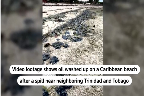 The oil spill in the Caribbean near Tobago has reached the island of Bonaire, 581 miles away.
