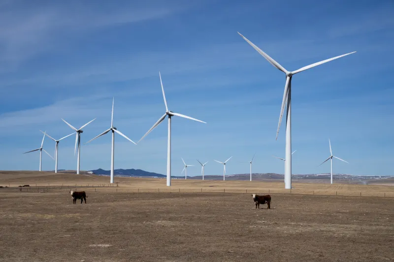 Windmills near Pincher Creek, Canada, March 2024  Todd Korol / Reuters 