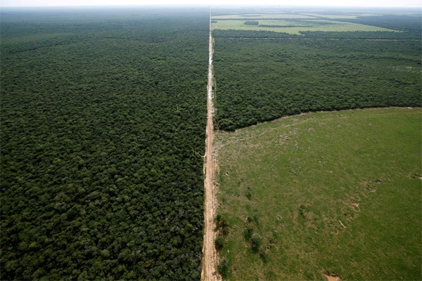 n aerial view shows forested and deforested areas, near Las Lomitas, in Formosa, Argentina April 18, 2023. REUTERS/Agustin Marcarian