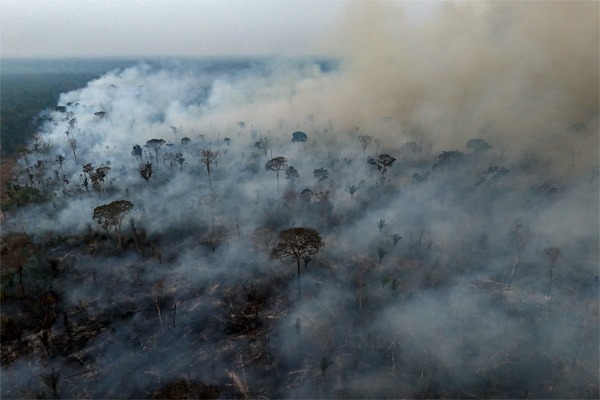 Wild fires in the Amazon rain forest